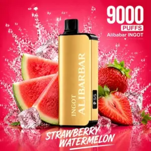ALIBARBAR INGOT 9000 PUFFS - Strawberry Watermelon